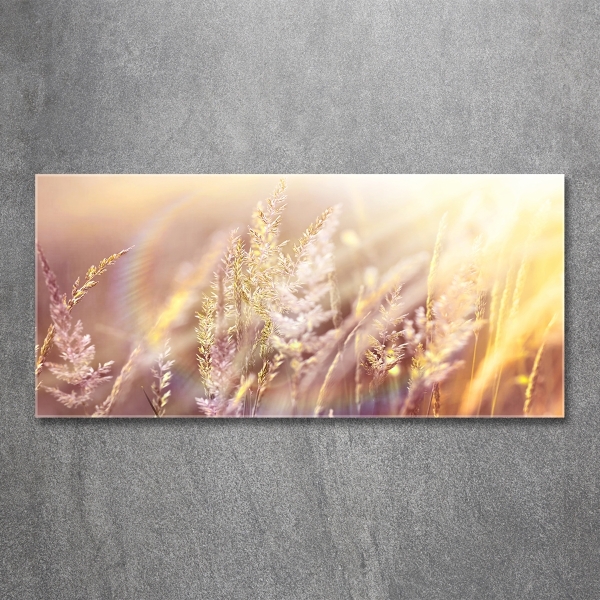 Wall art on glass Tall grass