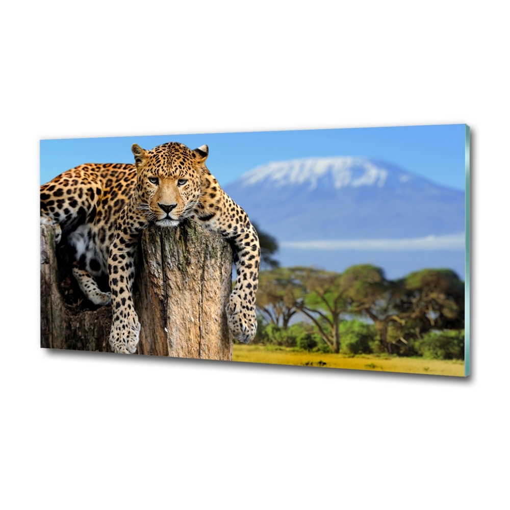 Glass picture print Leopard on the trunk