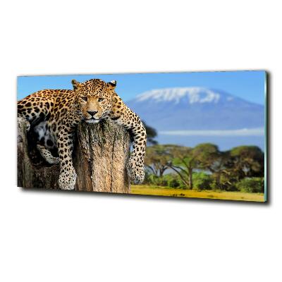 Glass picture print Leopard on the trunk