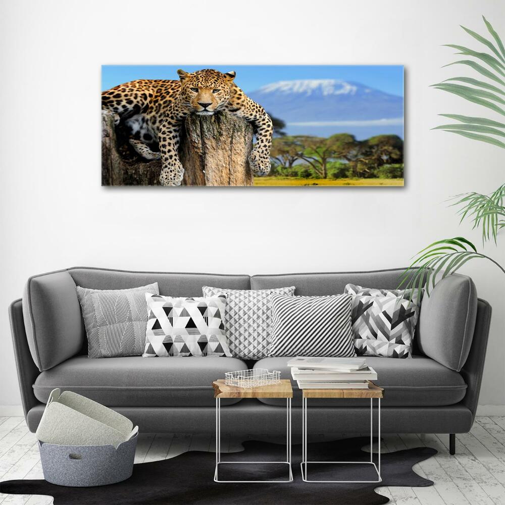 Glass picture print Leopard on the trunk