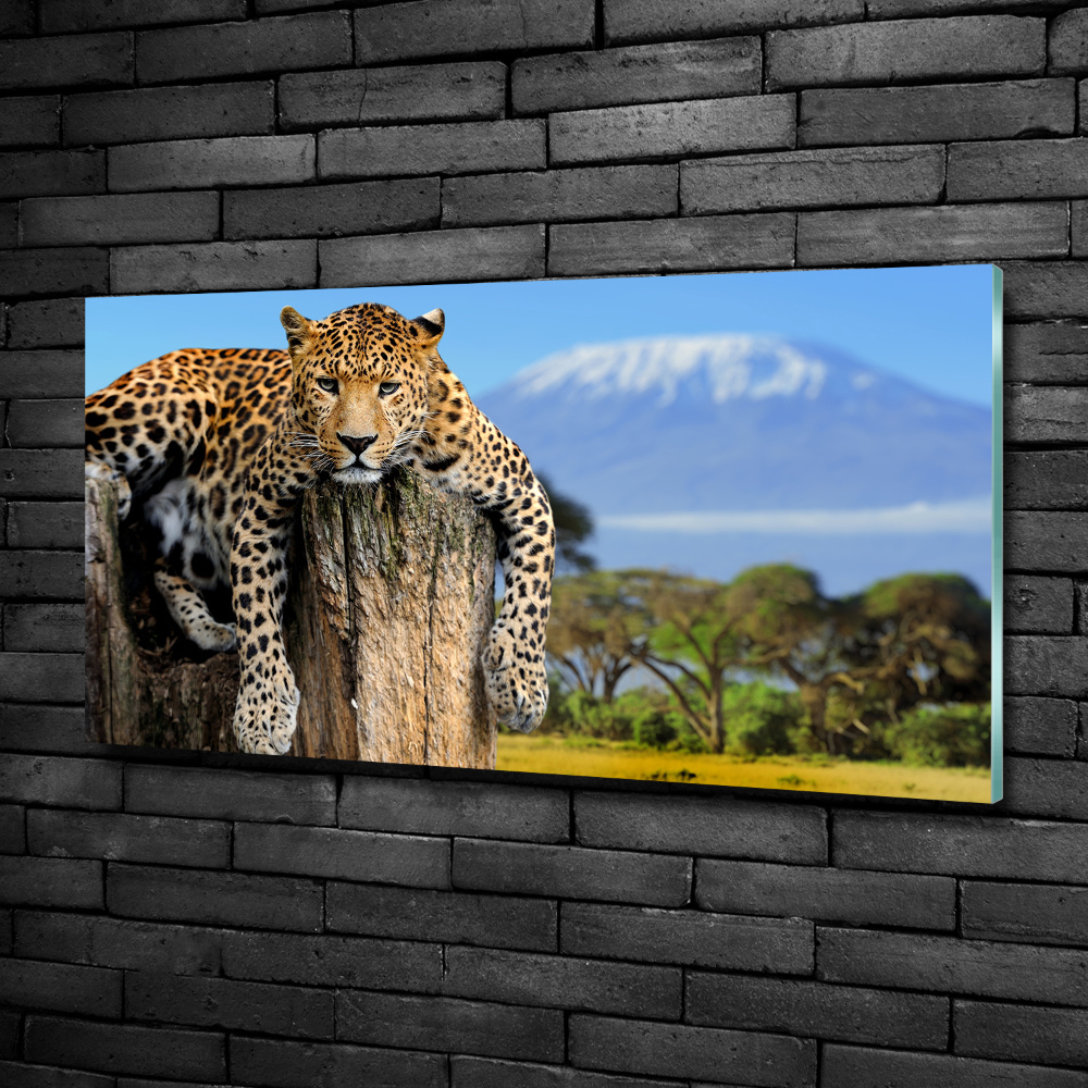 Glass picture print Leopard on the trunk