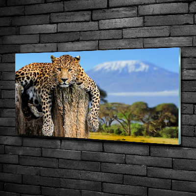 Glass picture print Leopard on the trunk