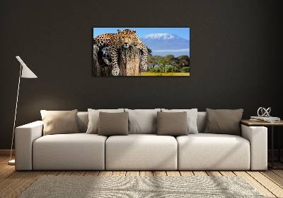 Glass picture print Leopard on the trunk