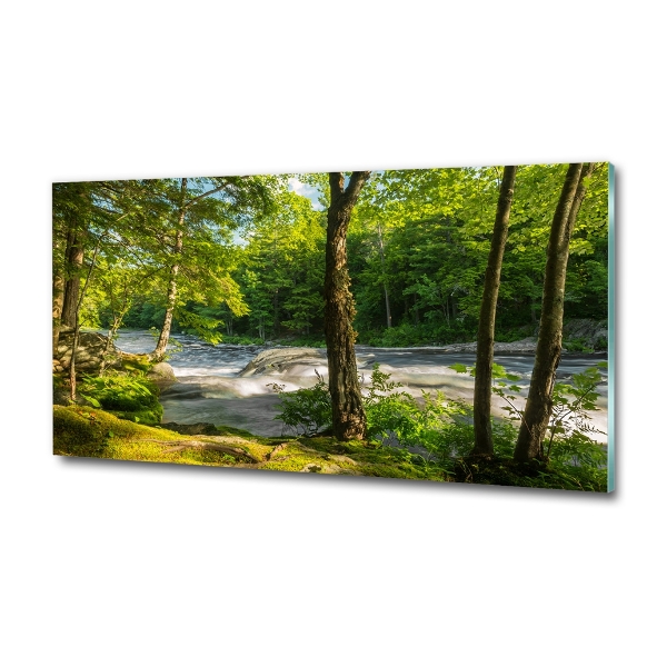 Glass wall art River in the forest