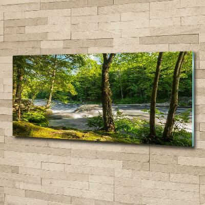 Glass wall art River in the forest