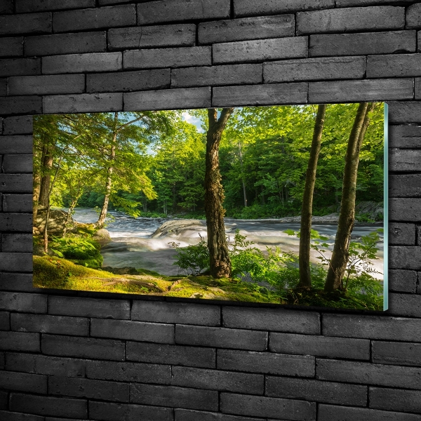 Glass wall art River in the forest