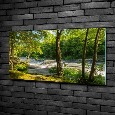 Glass wall art River in the forest