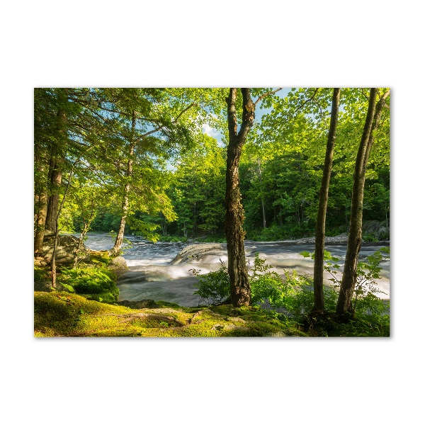 Glass wall art River in the forest