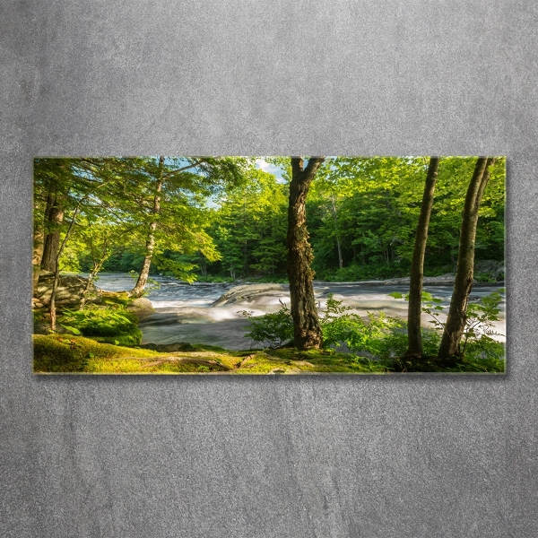 Glass wall art River in the forest