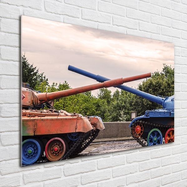 Glass picture print Two tanks