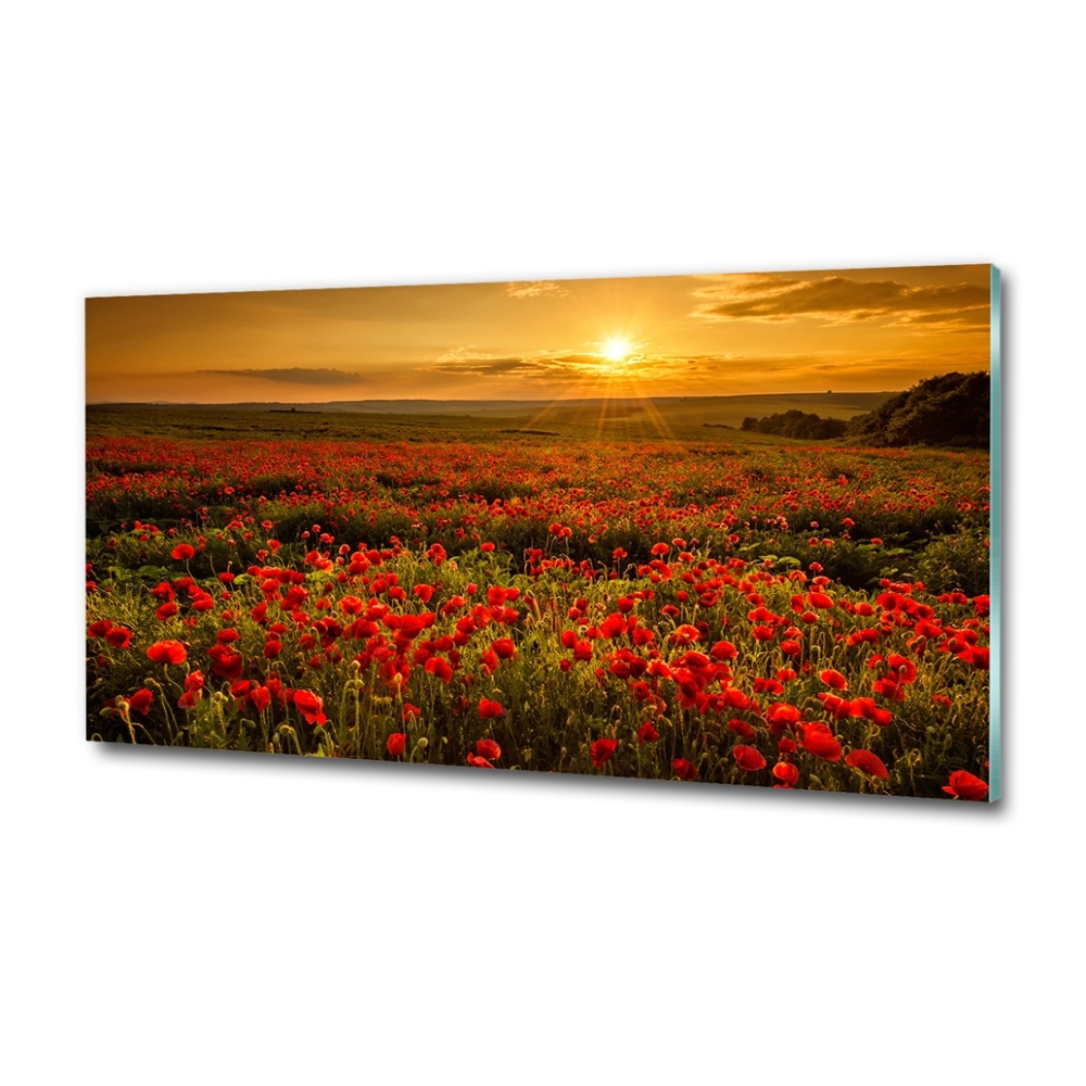 Glass wall art Poppies field