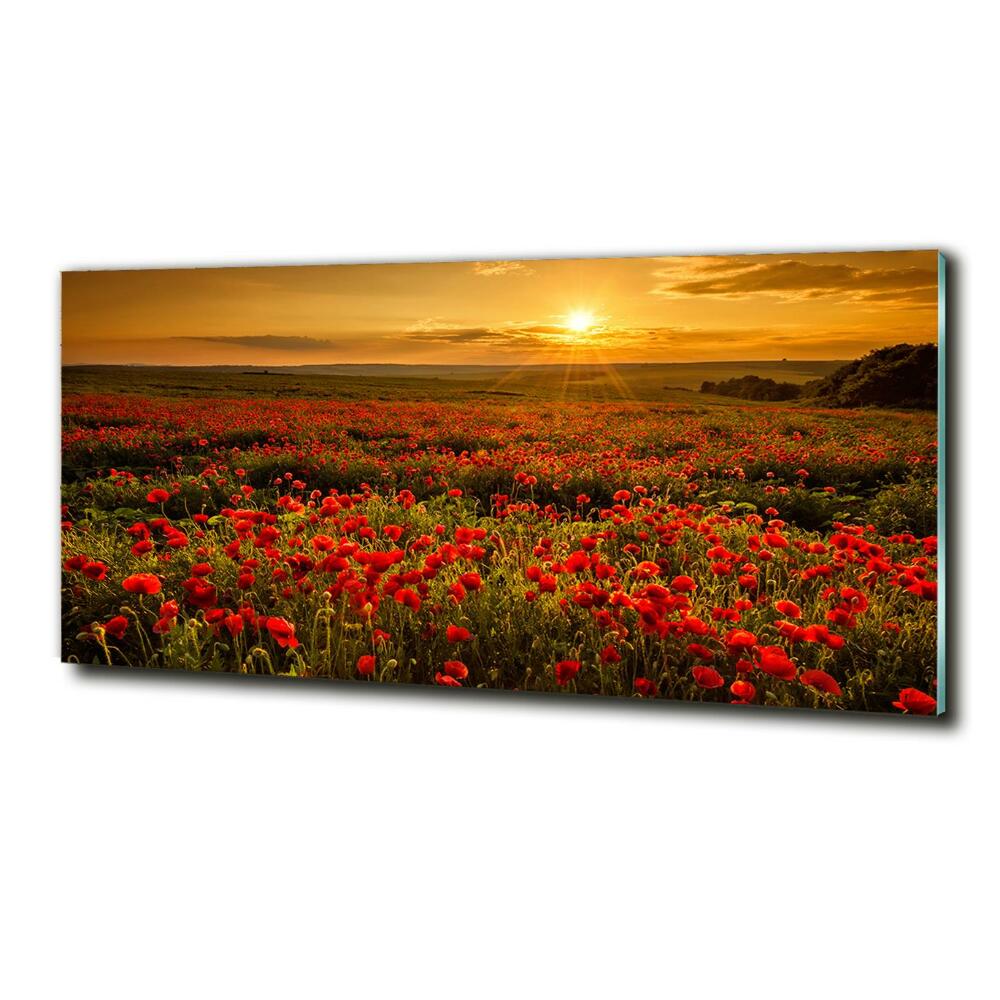 Glass wall art Poppies field