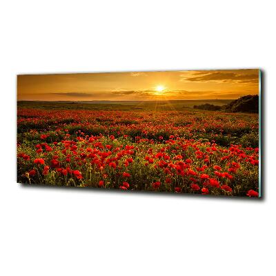 Glass wall art Poppies field