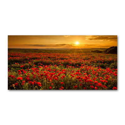 Glass wall art Poppies field