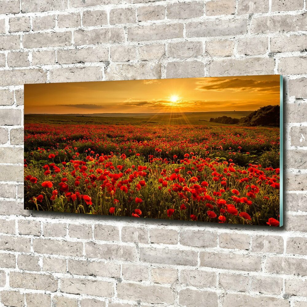 Glass wall art Poppies field