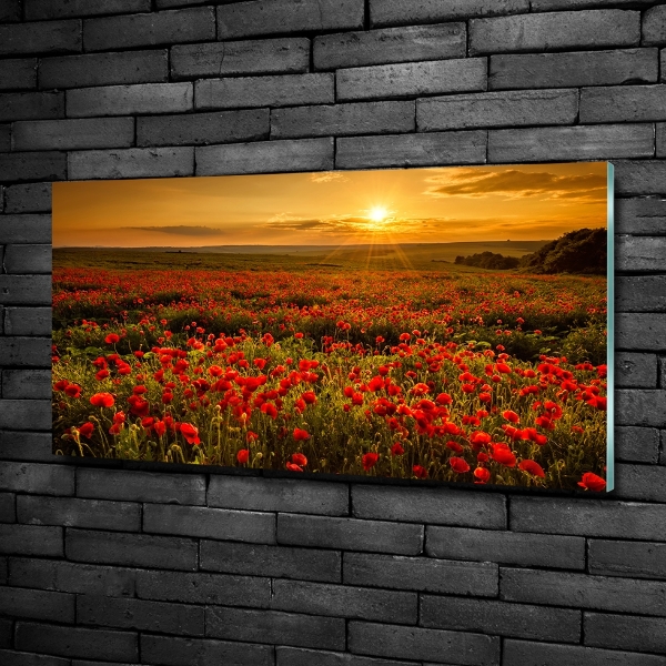 Glass wall art Poppies field