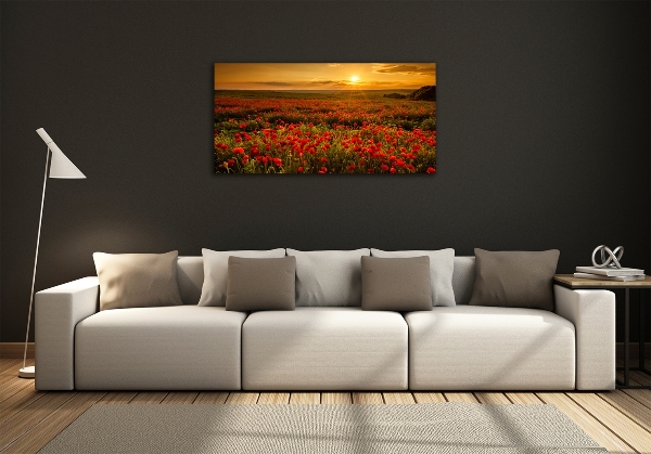 Glass wall art Poppies field