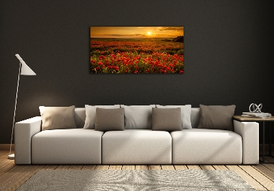 Glass wall art Poppies field