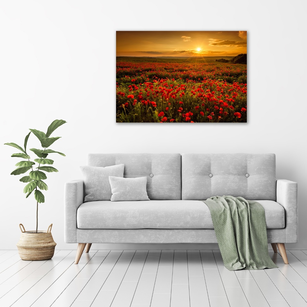 Glass wall art Poppies field