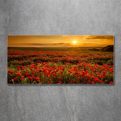 Glass wall art Poppies field