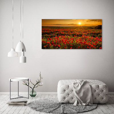 Glass wall art Poppies field