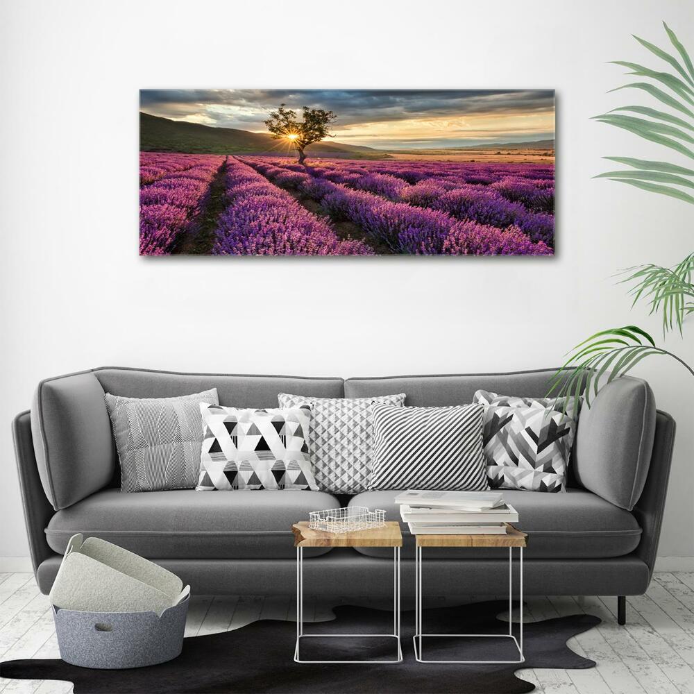 Glass art print Lavender field