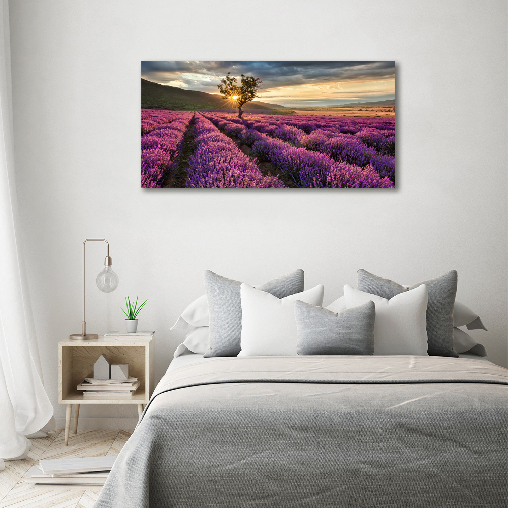 Glass art print Lavender field