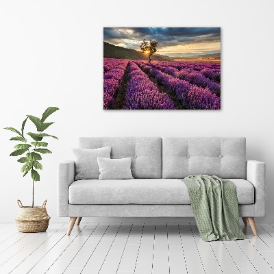 Glass art print Lavender field