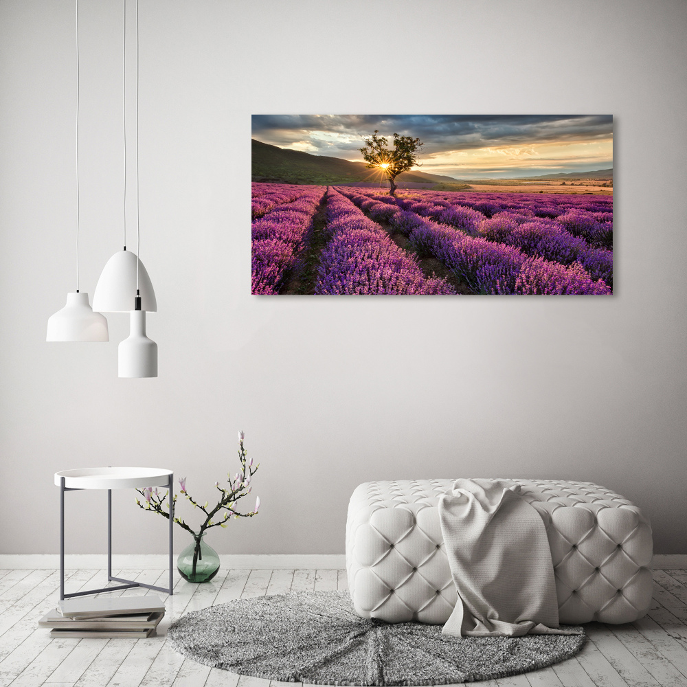 Glass art print Lavender field