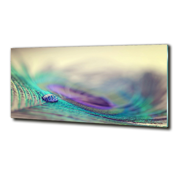 Glass art print Drop on the feather