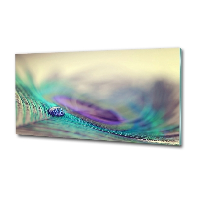 Glass art print Drop on the feather