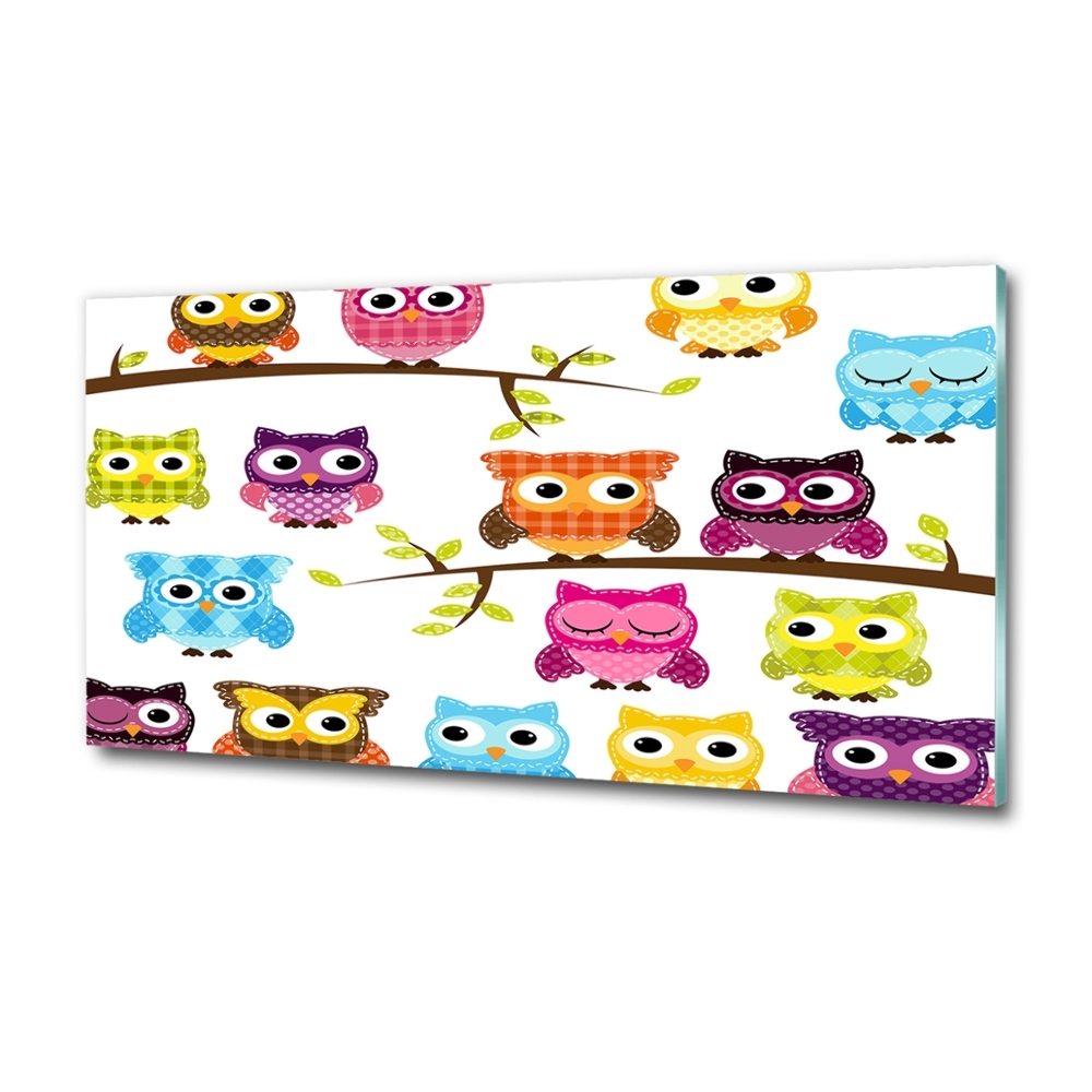 Printed glass wall art Colorful owls