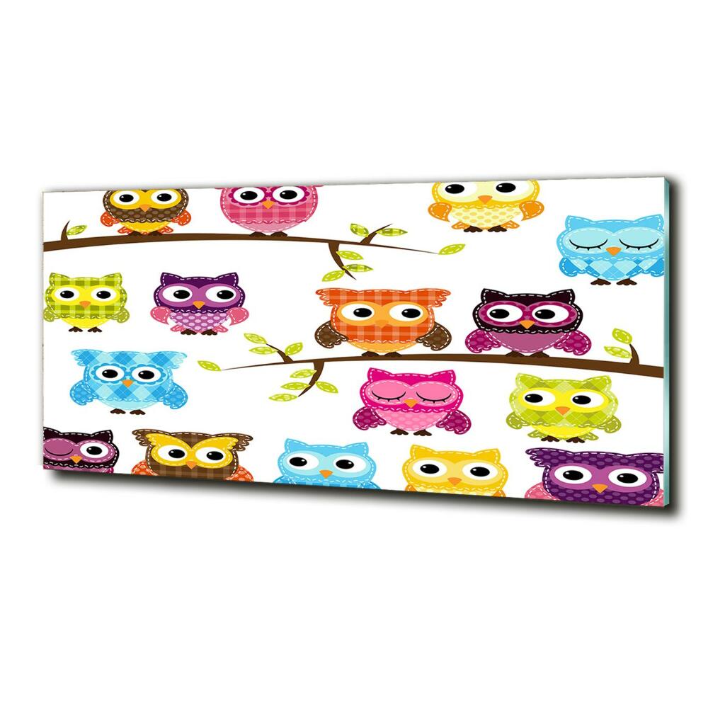 Printed glass wall art Colorful owls