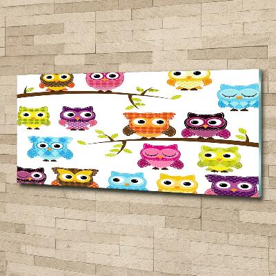 Printed glass wall art Colorful owls