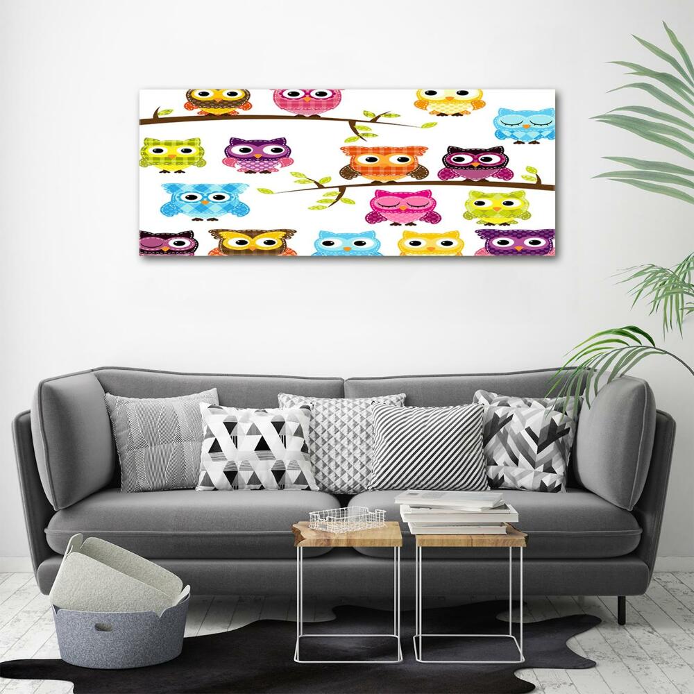 Printed glass wall art Colorful owls