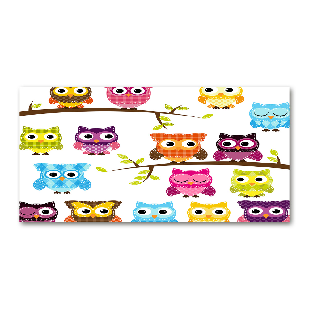 Printed glass wall art Colorful owls