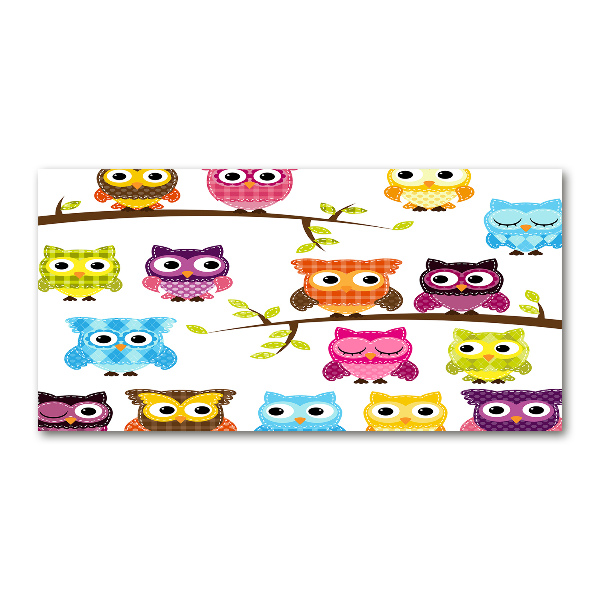 Printed glass wall art Colorful owls