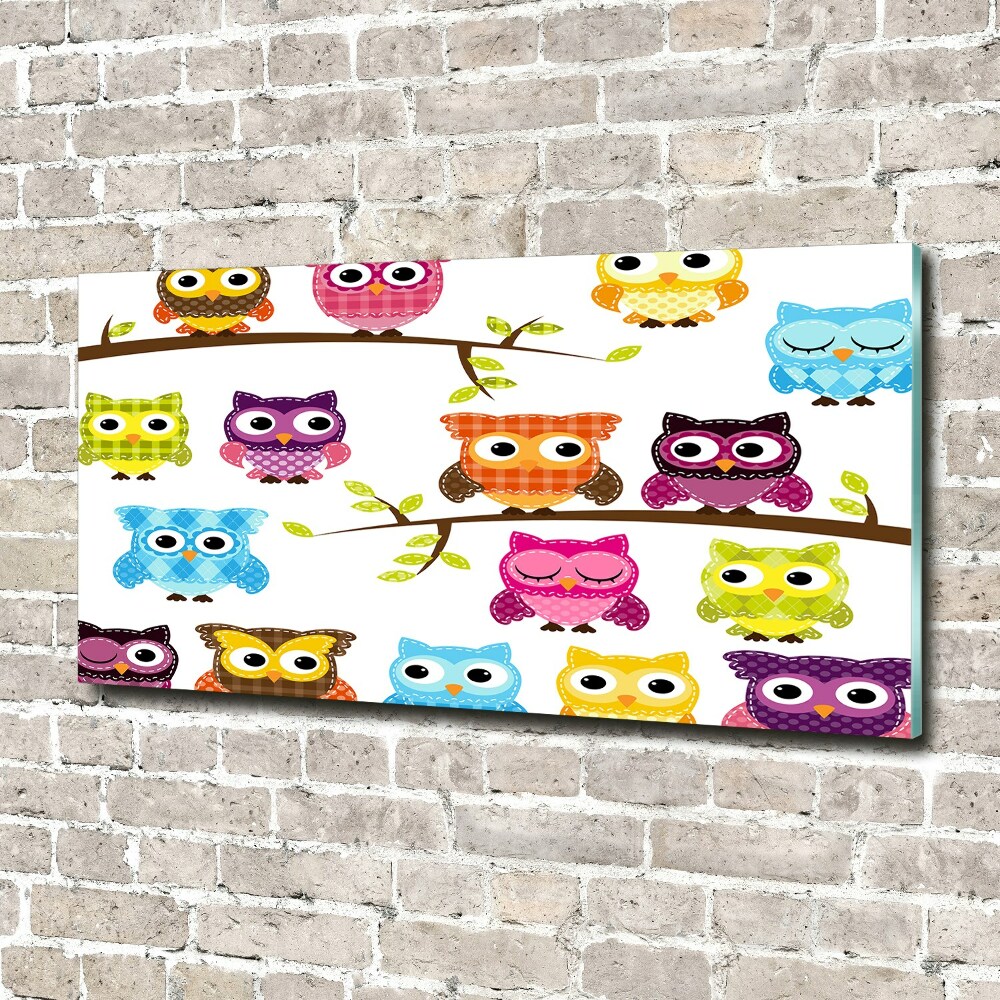 Printed glass wall art Colorful owls