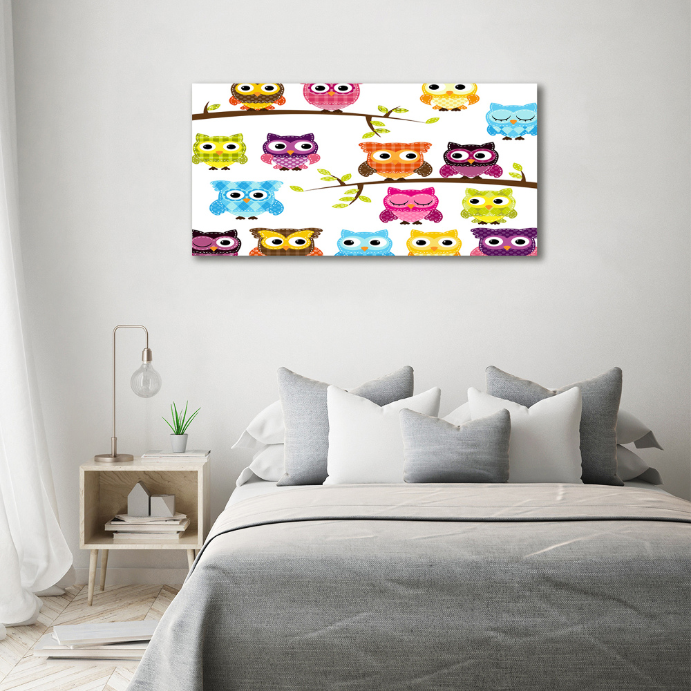 Printed glass wall art Colorful owls