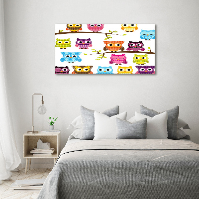 Printed glass wall art Colorful owls