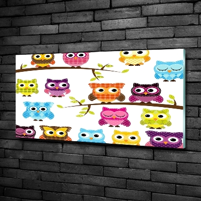 Printed glass wall art Colorful owls