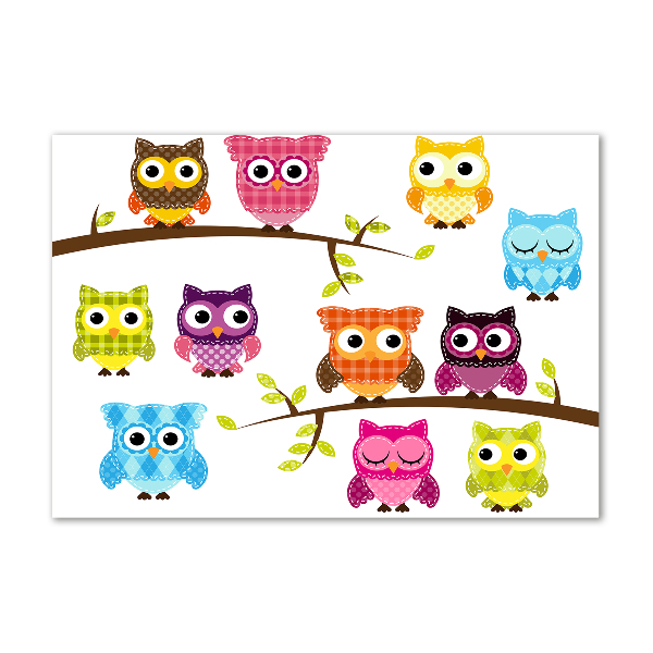 Printed glass wall art Colorful owls