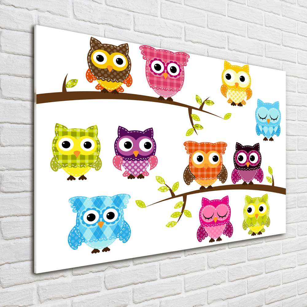 Printed glass wall art Colorful owls