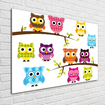 Printed glass wall art Colorful owls