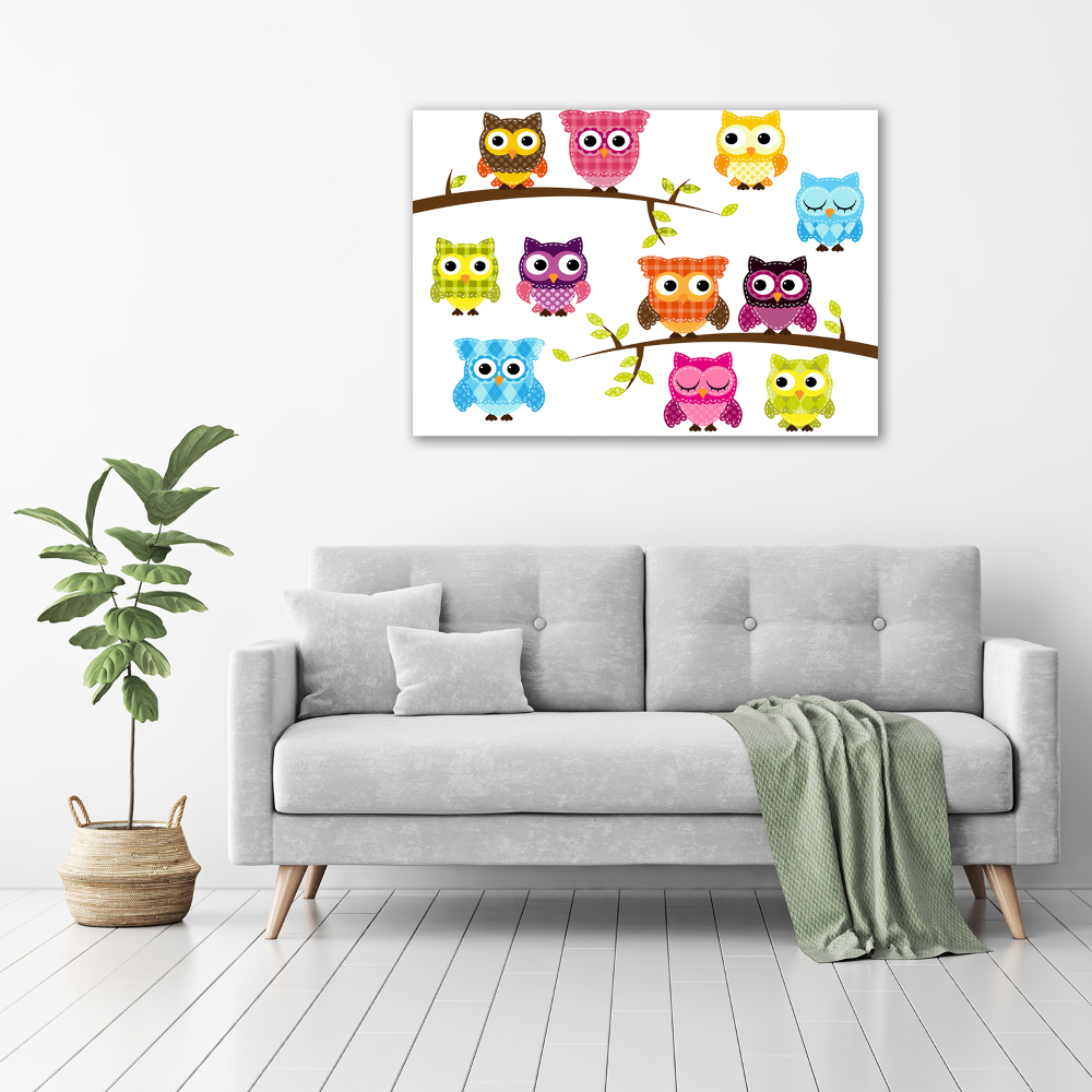 Printed glass wall art Colorful owls