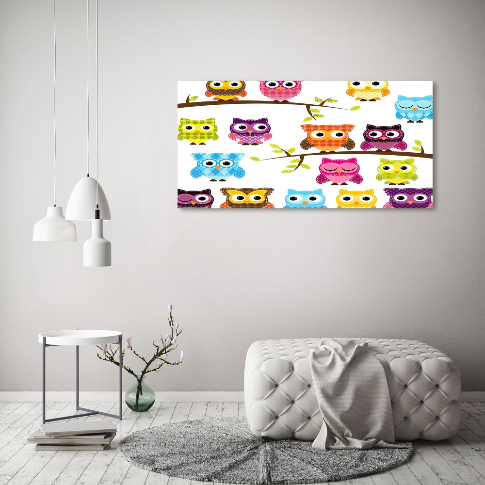 Printed glass wall art Colorful owls