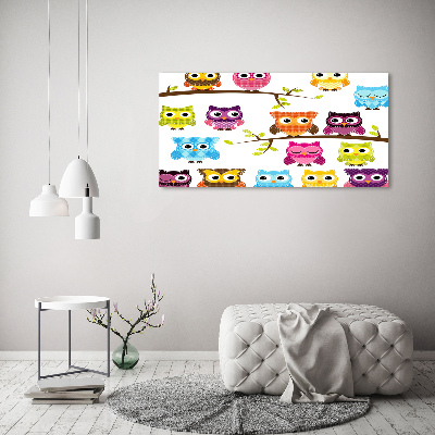 Printed glass wall art Colorful owls