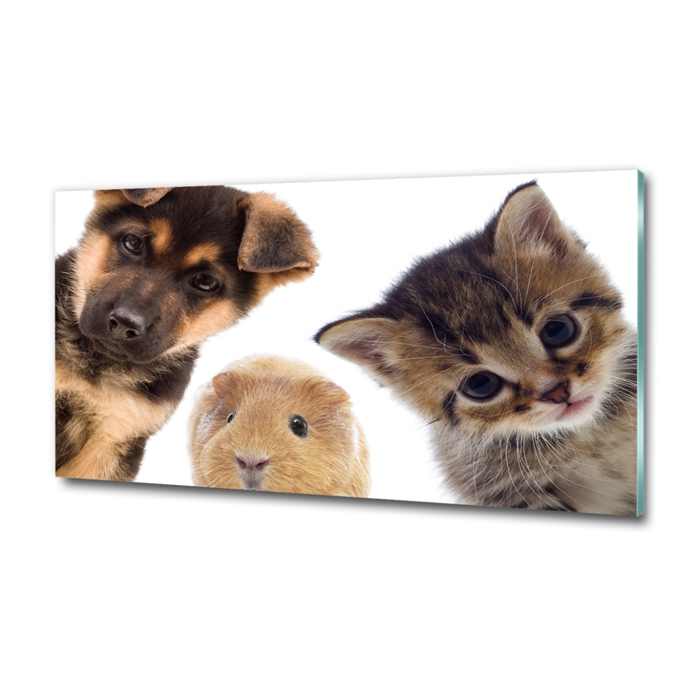 Glass wall art large Pets