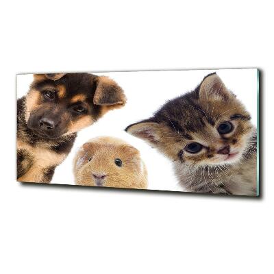 Glass wall art large Pets