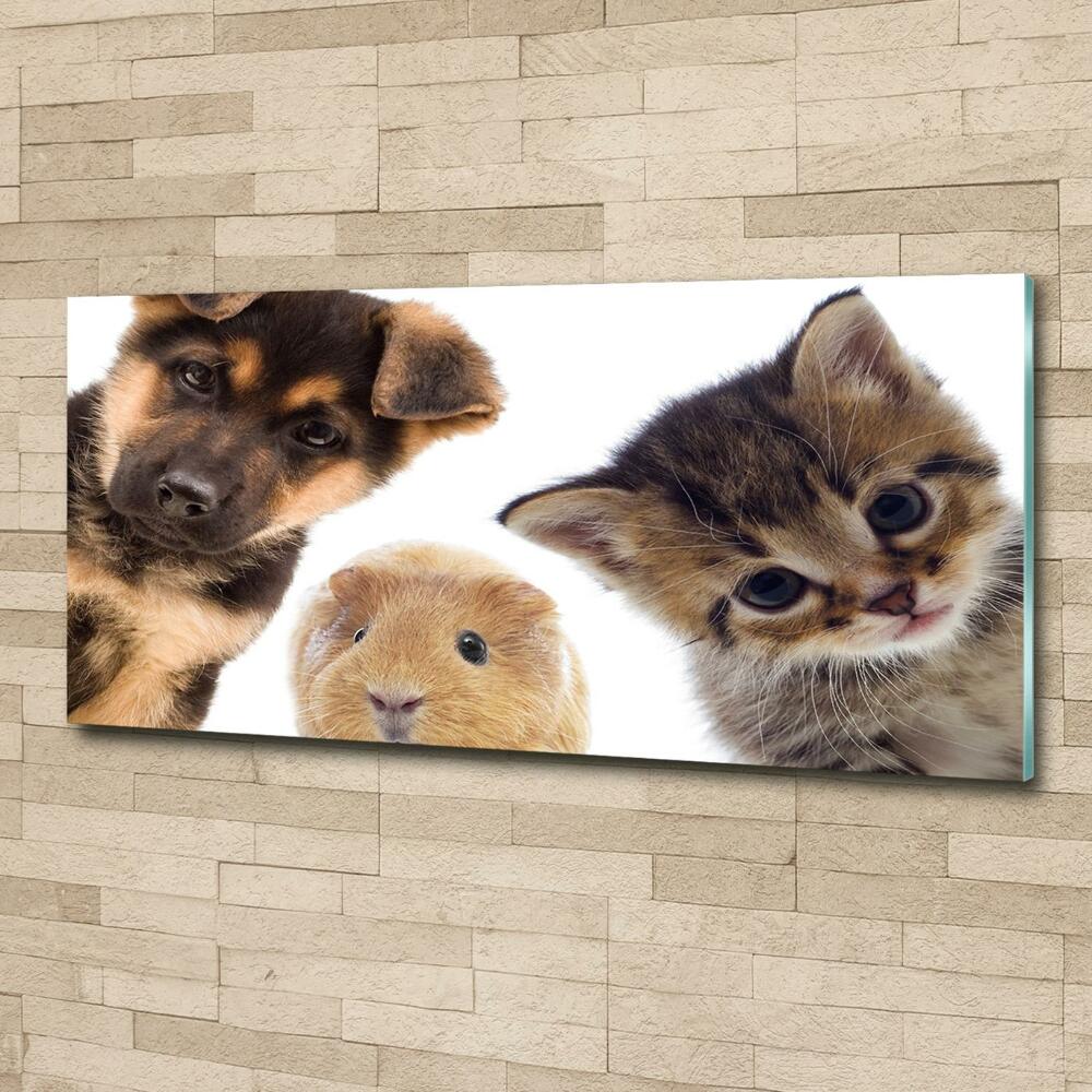 Glass wall art large Pets